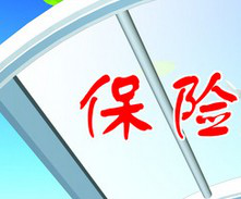保险