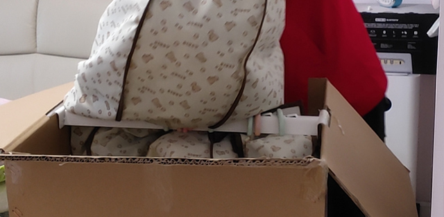 学生放假搬家打包